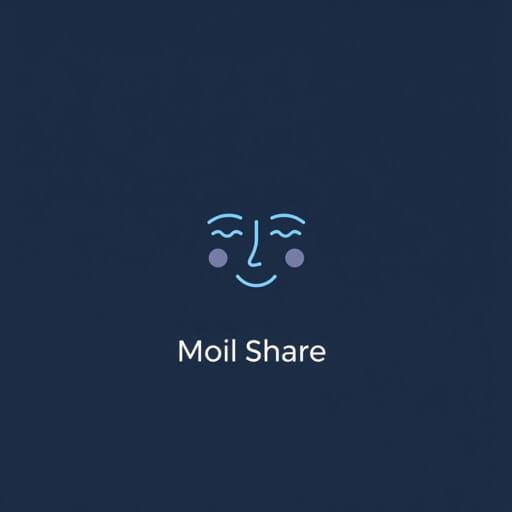 Face Value Of Moil Share