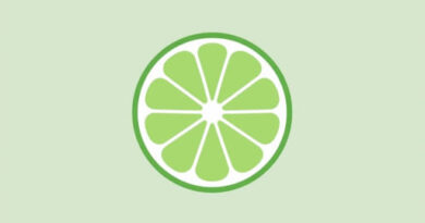 divvy-key-west-lime.jpg