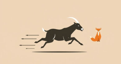 goat-races-sly-fox.jpg