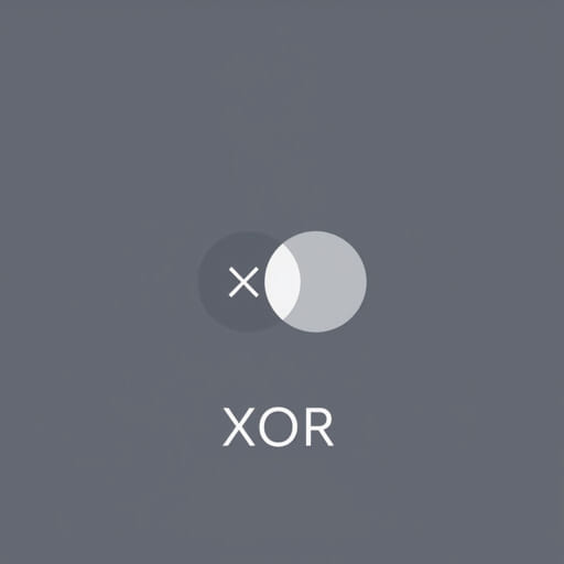 how-to-xor-in-java.jpg