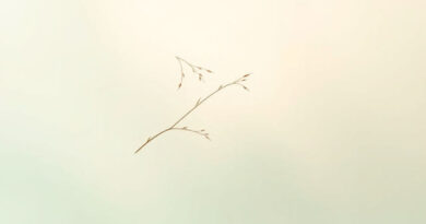 At Ching Ming Festival