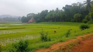 Be Translate In Tamil