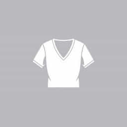 Best V Neck Undershirt