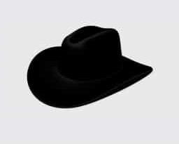 Black Felt Cowboy Hat