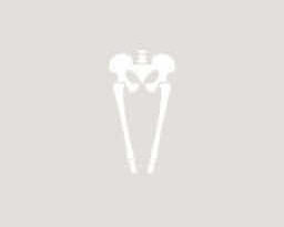 Bones Of Hind Limb