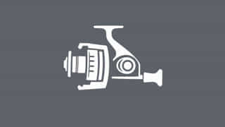 Daiwa Prorex Xt Muskie