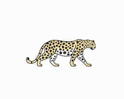 El Leopardo De Amur