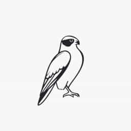 Gyrfalcon For Sale Uk