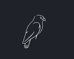 Hawk From A Handsaw