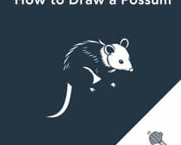 How To Draw A Possum
