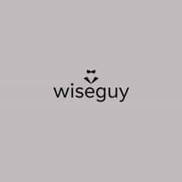 Is Wiseguy A Word