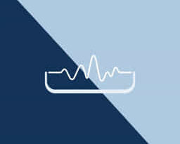 It'S Leif Erikson Day