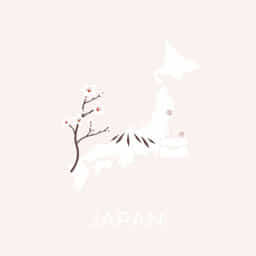 Japan Ssw Visa Salary