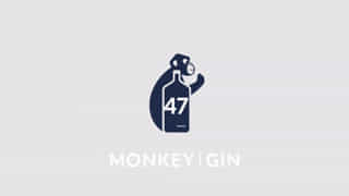 Monkey 47 Gin Price