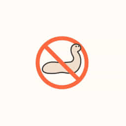 Never Eat Soggy Worms