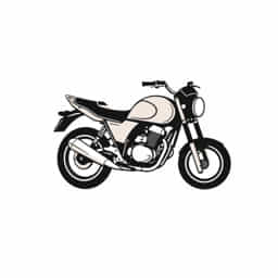 New Virago Bera 250