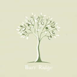 Olive Tree Burr Ridge
