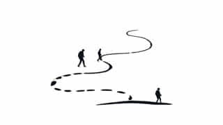 On A Wild Goose Chase