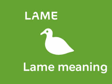 On The Lame Meaning