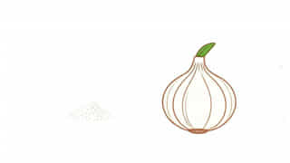 Onion Powder To Onion