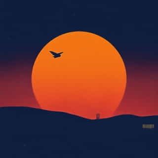 Osaka To Wuhan Flight