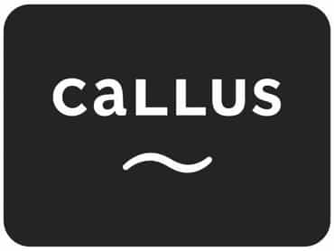 Other Term For Callus
