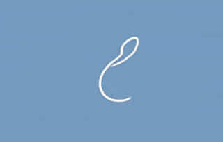 Other Words For Curvy