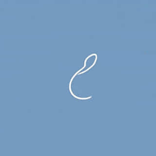 Other Words For Curvy