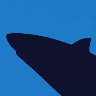 Overplay On Shark Tank