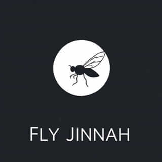Owner Of Fly Jinnah