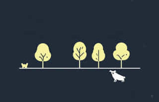 Parks With Dog Parks