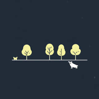 Parks With Dog Parks