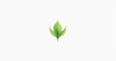 Plant Ovule 4 Letters