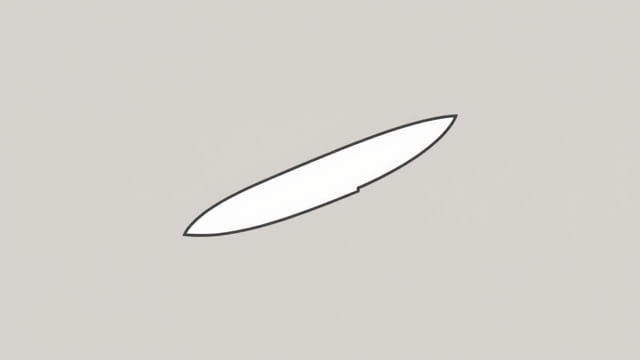 What Is A Ginsu Knife