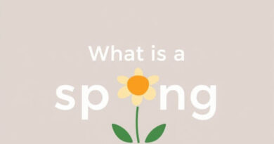What Is A Spring Fling