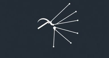 Aponeurosis Of External Oblique