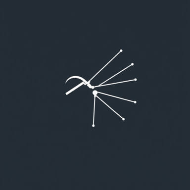 Aponeurosis Of External Oblique