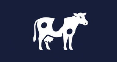 Be Afraid Cower Crossword Clue