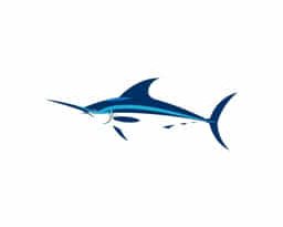 Blue Marlin In Tagalog