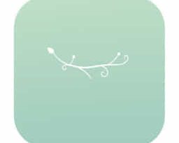 Branch Tendril Crossword Clue