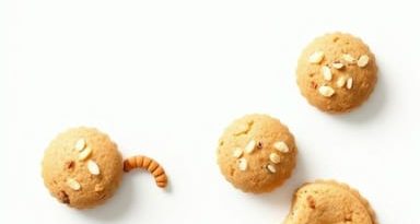 Dairy Free Anzac Biscuits