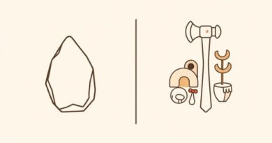 Difference Between Paleolithic And Neolithic Age