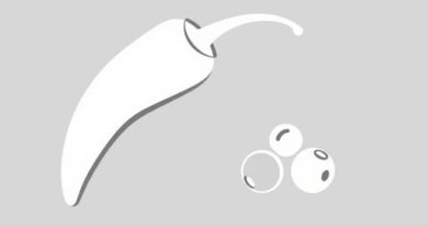 Difference Between Pepper And Peppercorn