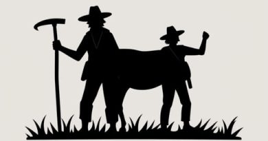 Elementary Aspects Of Peasant Insurgency