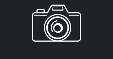 Example Of Exemplification Sentence