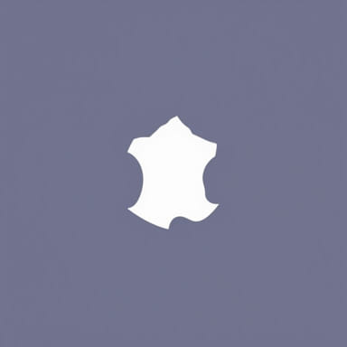 Grammaire Progressive Du Fran Ais