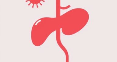 Hepatitis B Infectious Or Noninfectious