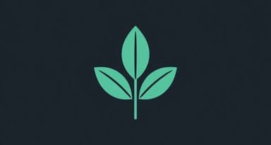 Kind Of Leave Or Guidance Nyt