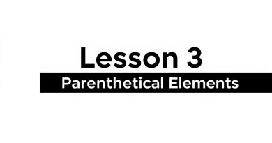 Lesson 3 Parenthetical Elements