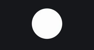 Look For The Meaning Of The Following Words Exuberance